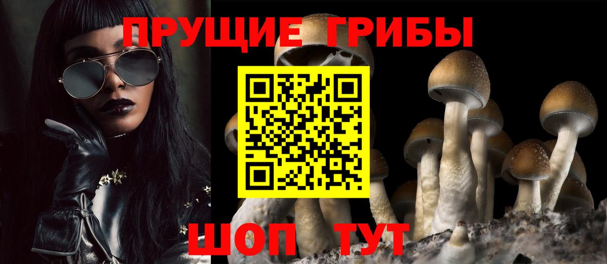 сколько стоит  Вход с VPN  Чусовой  Псилоцибиновые грибы Magic Shrooms 
